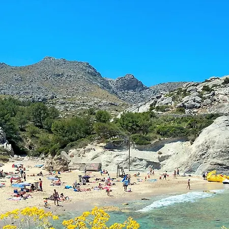 Owl El - Amazing Views