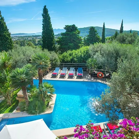 Owl El - Amazing Views 波连萨港