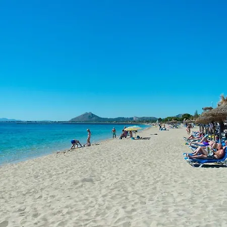 Owl El - Amazing Views