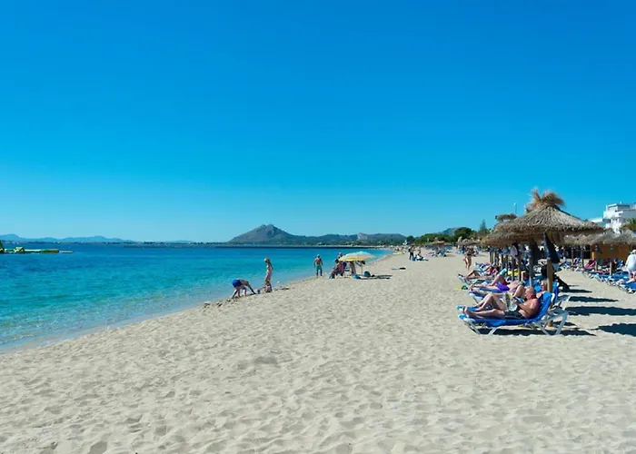 Owl El - Amazing Views